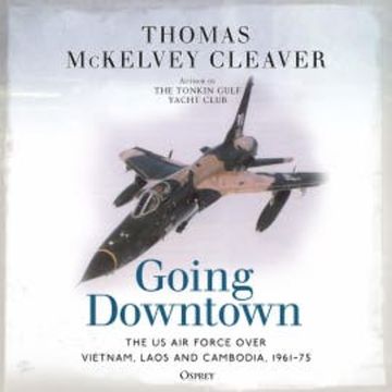 Going Downtown audiobook, Thomas McKelvey Cleaver