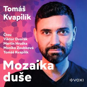 Mozaika duše, Tomáš Kvapilík