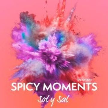 Sol y Sal - Erotische Geschichte - spicy moments, Band 22 (Ungekürzte Lesung) audiobook, spicy moments by argon