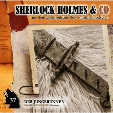 Der Jungbrunnen, Episode 2 (Sherlock Holmes & Co 37) audiobook, Markus Topf