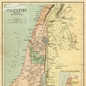 Francja uzna niepodległość Palestyny?, Mateusz Grzeszczuk