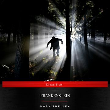 Frankenstein o el moderno Prometeo audiobook, Mary Shelley