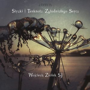 Strąki.Tęsknota zgłodniałego serca, Wojciech Ziółek SJ