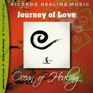 Journey of Love - Ocean of Healing audiobook, N.N.