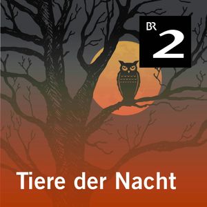 Tiere der Nacht, Silke Wolfrum