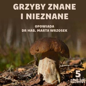 #05 Borowiki to tylko wierzchołek góry grzybowej. Mykologiczna opowieść wiligijna | dr hab. Marta Wrzosek, Karolina Głowacka