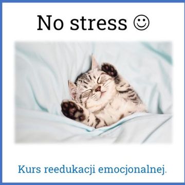 No stress - reedukacja emocjonalna audiobook, Sławomir Luter