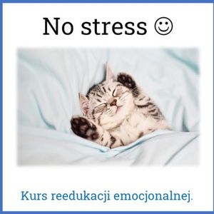 No stress - reedukacja emocjonalna, Sławomir Luter