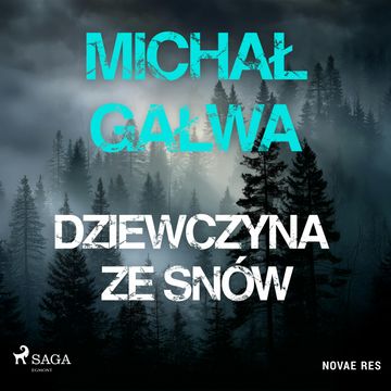 Dziewczyna ze snów, Michał Gałwa