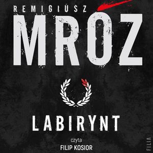 Labirynt. Gerard Edling. Tom 5, Remigiusz Mróz