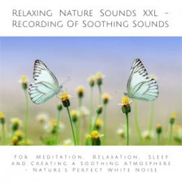 Relaxing Nature Sounds XXL (without music) - Recording Of Soothing Nature Sounds audiobook, Yella A. Deeken