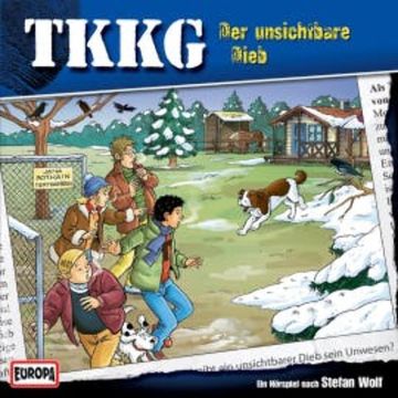 TKKG - Folge 185: Der unsichtbare Dieb audiobook, Martin Hofstetter