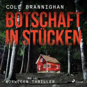 Botschaft in Stücken: Norwegen-Thriller audiobook, Cole Branninghan