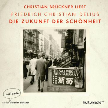 Die Zukunft der Schönheit audiobook, Friedrich Christian Delius