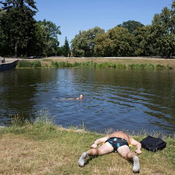 Oázy chladu v pražské poušti. Jak se metropole chystá na stále častější a intenzivnější vlny veder, Andrea Procházková, Erik Tabery