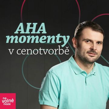 Roman Věžník: AHA momenty v cenotvorbě na volné noze audiobook, Robert Vlach