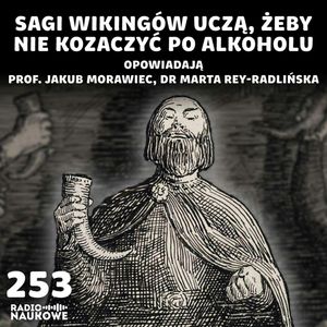 Sagi islandzkie – historie bogów, biskupów i wikingów | prof. Jakub Morawiec, dr Marta Rey-Radlińska, Karolina Głowacka