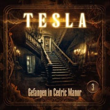Tesla - Folge 3: Gefangen in Cedric Manor audiobook, Silke Walter