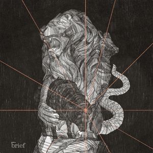 Brief #79 – Protesty w Kaszmirze, nowe pomysły banków oraz hybrydy ludzi i zwierząt, Outride.rs