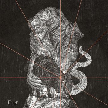 Brief #79 – Protesty w Kaszmirze, nowe pomysły banków oraz hybrydy ludzi i zwierząt audiobook, Outride.rs