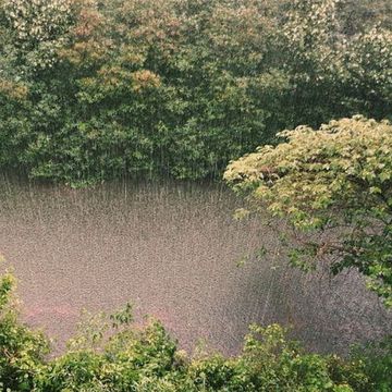 Gewitter, Maxx Audio