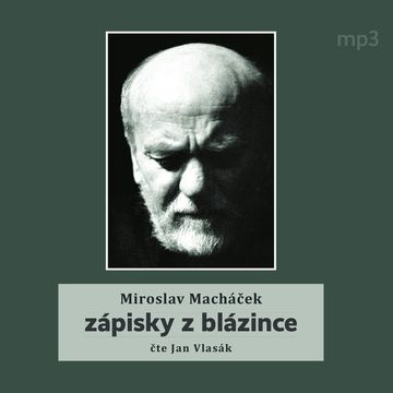 Zápisky z blázince, Miroslav Macháček