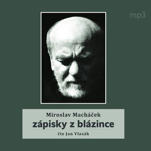 Zápisky z blázince, Miroslav Macháček