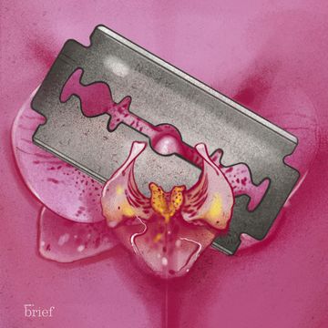 Brief #115 – Farmy wiatrowe, ogon spinozaura i lodowce audiobook, Outride.rs