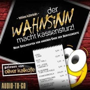 Der Wahnsinn macht Kassensturz! - Die Wahnsinn-Reihe, Band 2 (ungekürzt) audiobook, Tobias Kühnlein