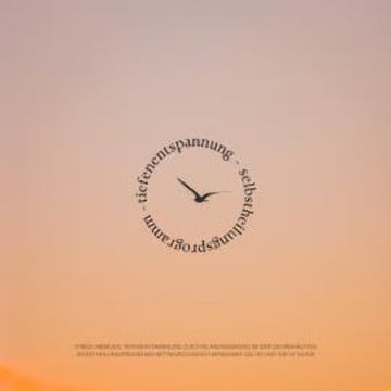 Stress abbauen: Tiefenentspannung zur Synchronisierung beider Gehirnhälften audiobook, Patrick Lynen