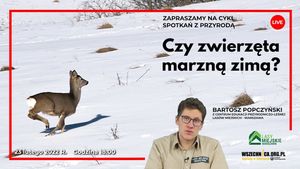 Czy zwierzęta marzną zimą? / Bartosz Popczyński, Wszechnica FWW