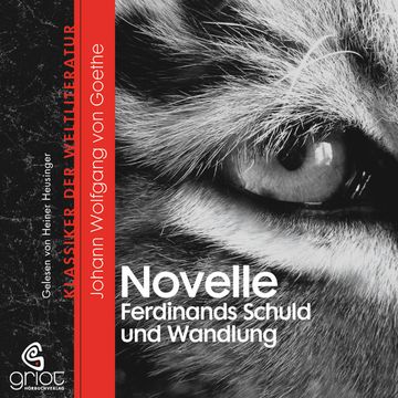 Die Novelle / Ferdinands Schuld und Wandlung audiobook, Johann W von Goethe