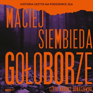 Gołoborze, Maciej Siembieda