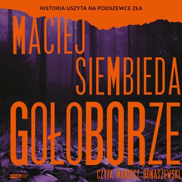 Gołoborze audiobook, Maciej Siembieda