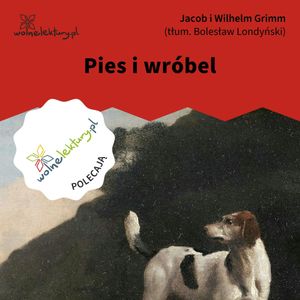 Pies i wróbel, Bracia Grimm