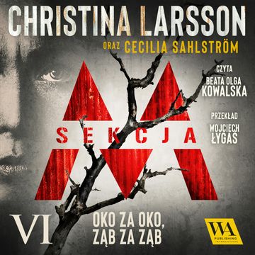 Sekcja M - Tom VI audiobook, Christina Larsson