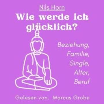 Wie werde ich glücklich? - Beziehung, Familie, Single, Alter, Beruf (ungekürzt) audiobook, Nils Horn