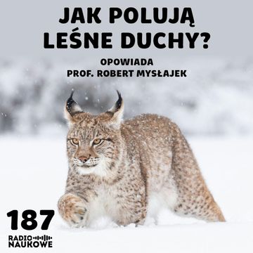 #187 Rysie - dostojni, dyskretni i arcyskuteczni myśliwi | prof. Robert Mysłajek audiobook, Karolina Głowacka