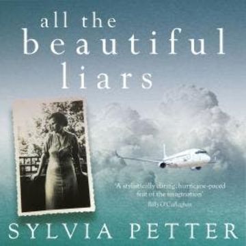 All the Beautiful Liars (Unabridged) audiobook, Sylvia Petter