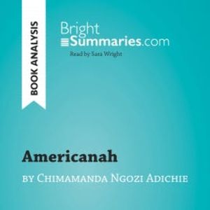 Americanah by Chimamanda Ngozi Adichie (Book Analysis), Bright Summaries