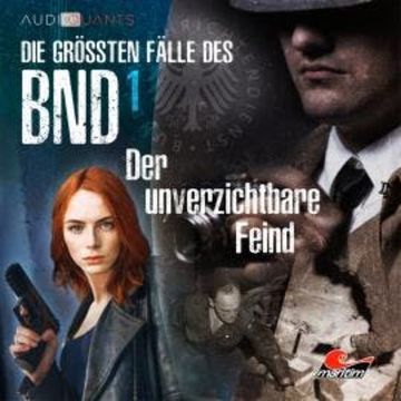 Die größten Fälle des BND, Folge 1: Der unverzichtbare Feind audiobook, Lars H. Jung