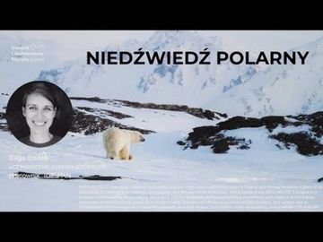 Niedźwiedź polarny / Dagmara Bożek audiobook, Wszechnica FWW