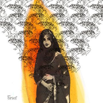 Brief #64 – Nowy reportaż, prawdziwe serce z drukarki 3D i bioróżnorodność Ziemi audiobook, Outride.rs