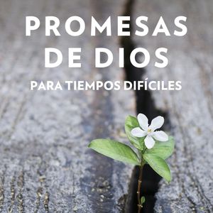 Promesas de Dios para tiempos difíciles, Jack Countryman