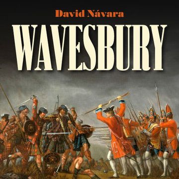 Wavesbury audiobook, David Návara