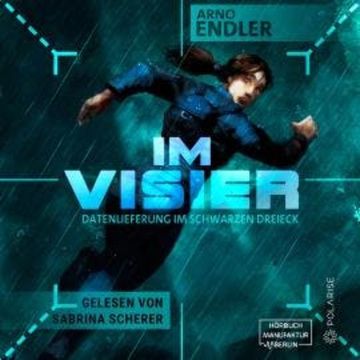 Im Visier - Datenlieferung im Schwarzen Dreieck (ungekürzt) audiobook, Arno Endler
