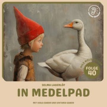 In Medelpad (Nils Holgersson, Folge 40) audiobook, Selma Lagerlöf