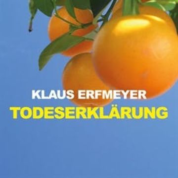 Todeserklärung audiobook, Klaus Erfmeyer