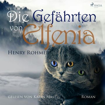 Die Gefährten von Elfenia, Henry Rohmer