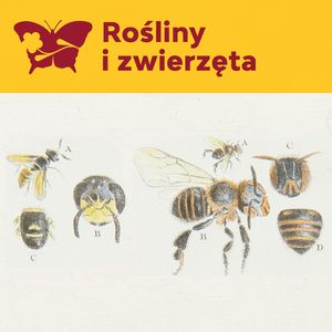 Ul – fizjokraci – gospodarowanie w naturze, Międzynarodowe Centrum Kultury